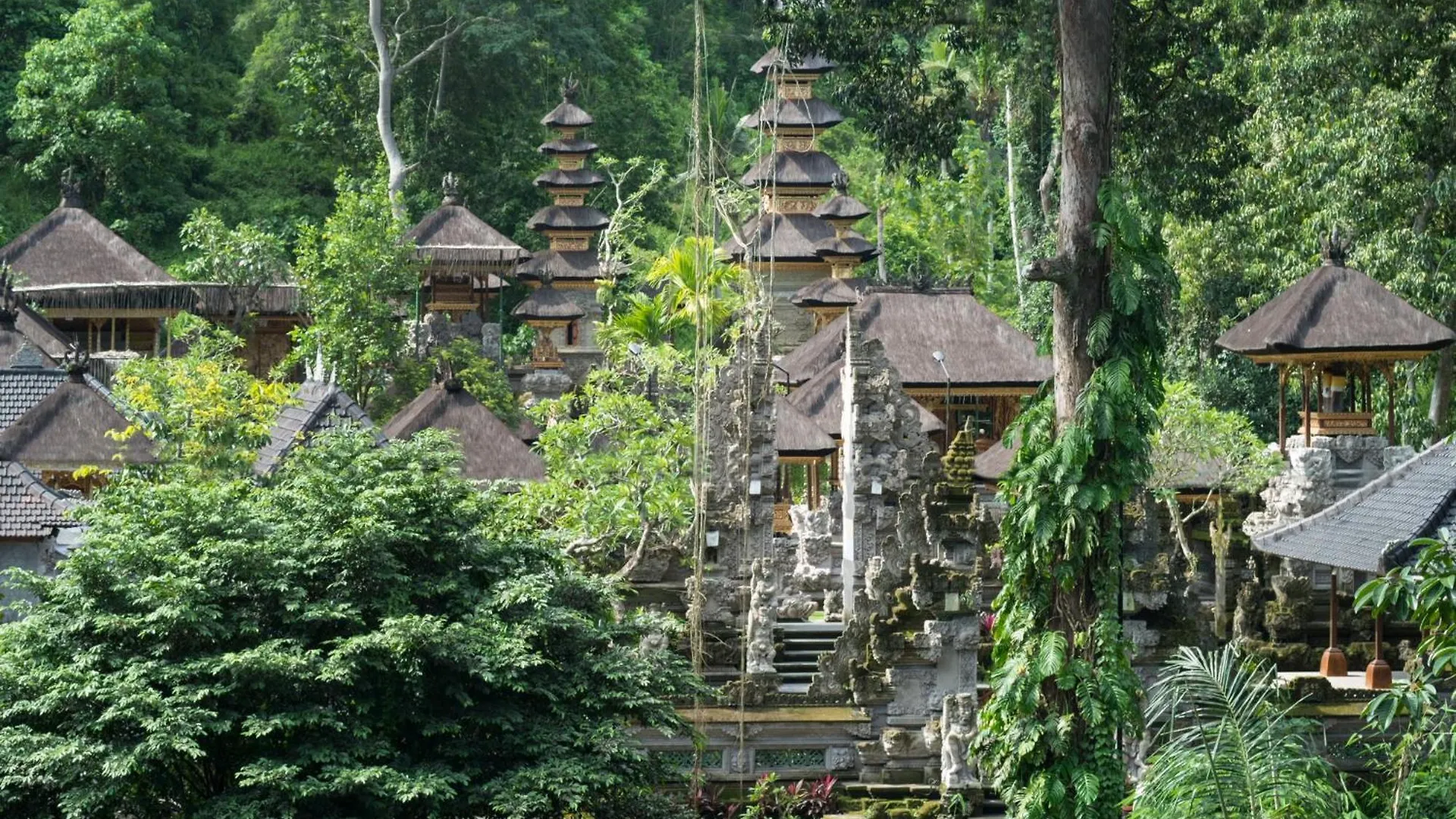 The Evitel Resort Ubud