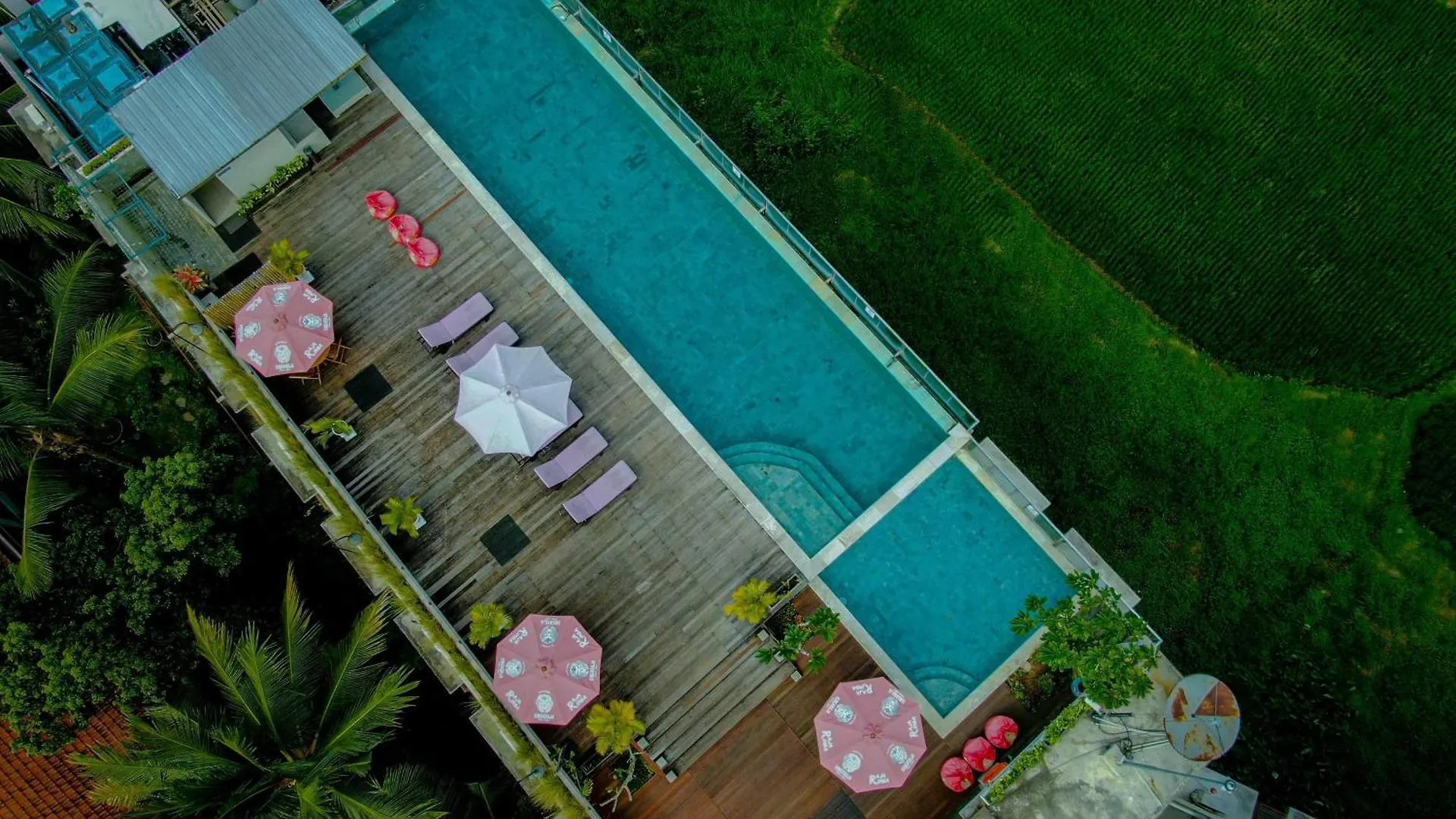 The Evitel Resort Ubud